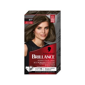 Brillance 877 Brun clair cendré