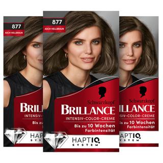 BRILLANCE  Brillance 877 Brun clair cendré 