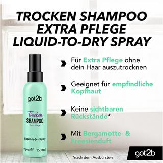 got2b Liquid-to-Dry Spray Shampooing sec Extra Soin 