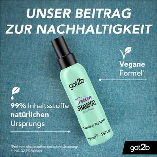 got2b Liquid-to-Dry Spray Trockenshampoo Extra Pflege 