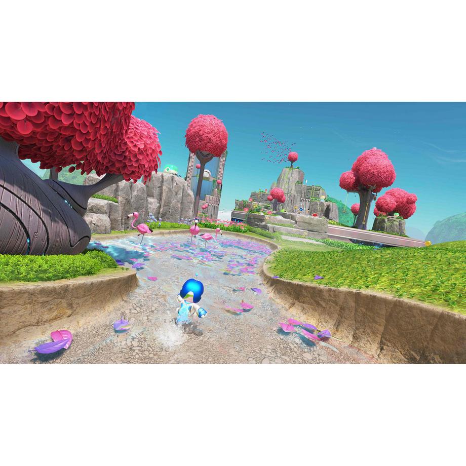 SONY COMPUTER ENTERTAINMENT Astro Bot [PS5] (D/F/I) (PS5) 