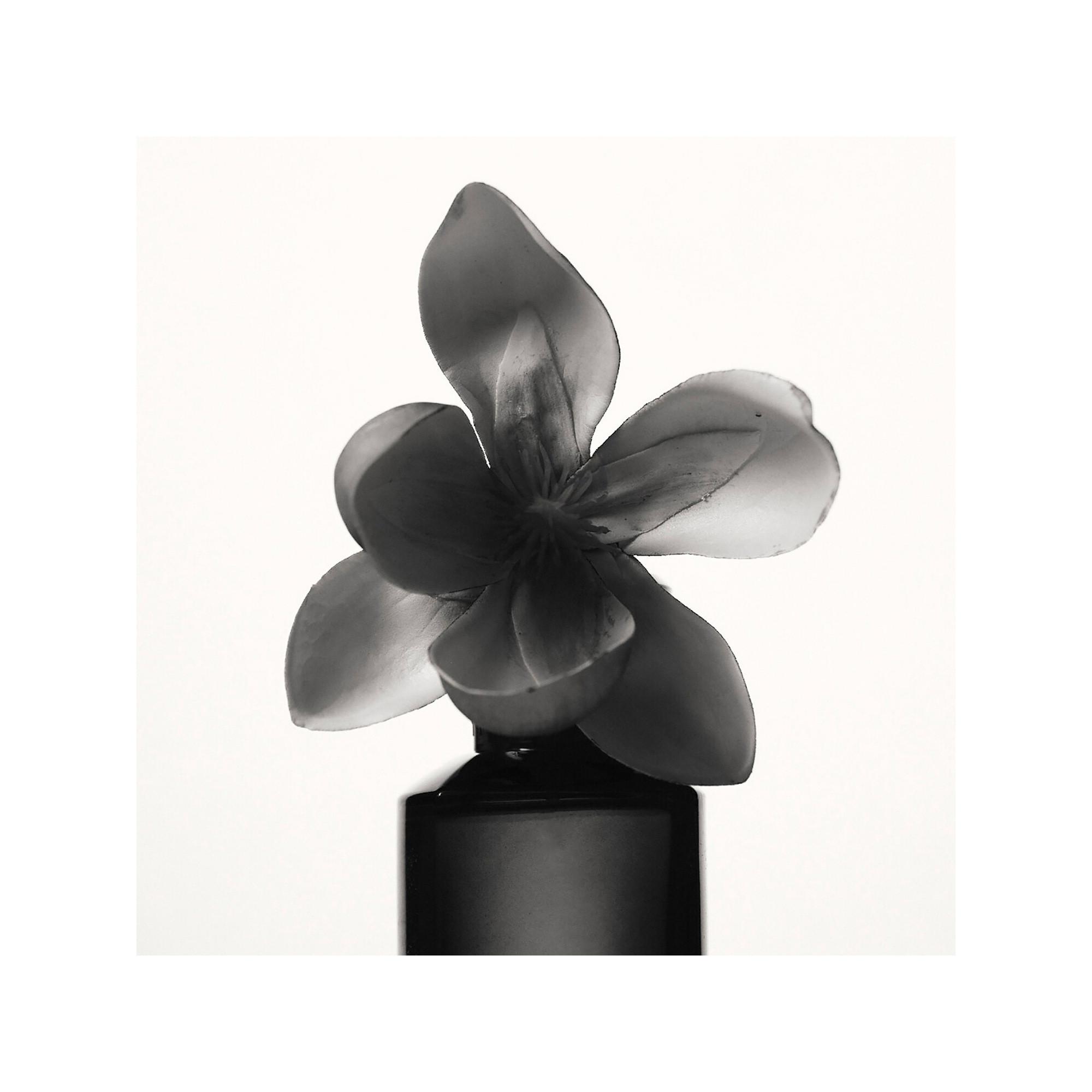 Fenty Beauty By Rihanna Fenty - Eau de Parfum  