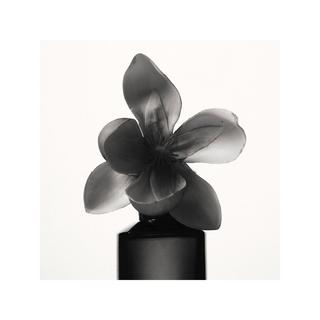 Fenty Beauty By Rihanna Fenty - Eau de Parfum  