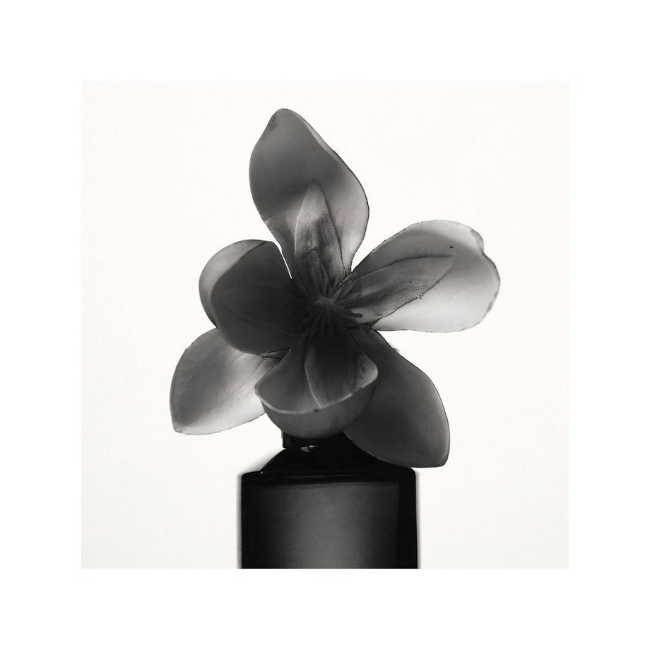 Fenty Beauty By Rihanna Fenty - Eau de Parfum  