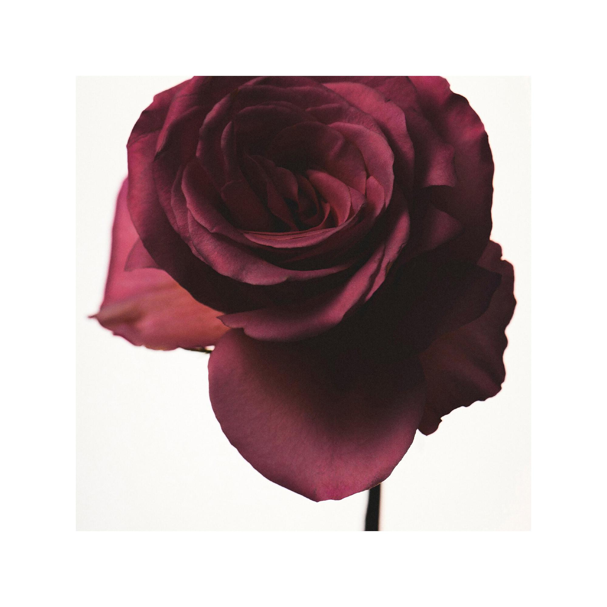 Fenty Beauty By Rihanna Fenty - Eau de Parfum  