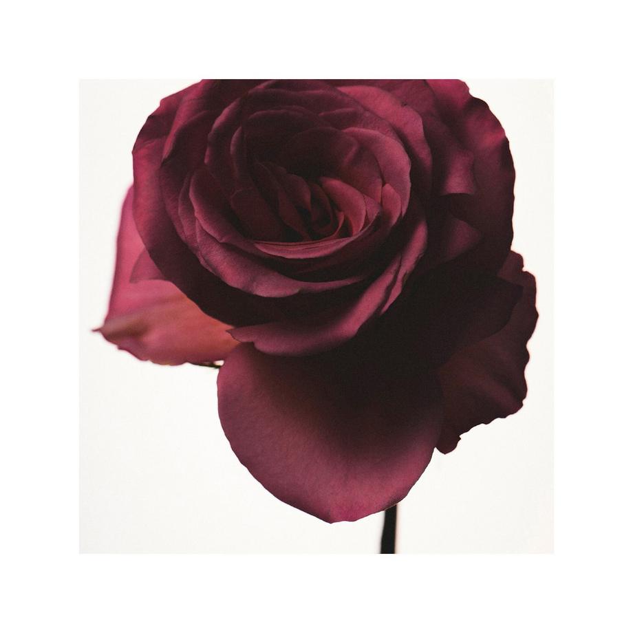 Fenty Beauty By Rihanna Fenty - Eau de Parfum  