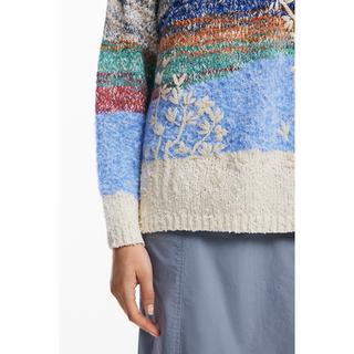 Desigual  Pullover 