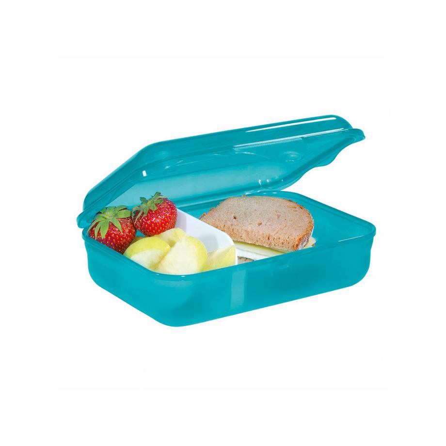 Step by Step Boîte repas Dog Basty 