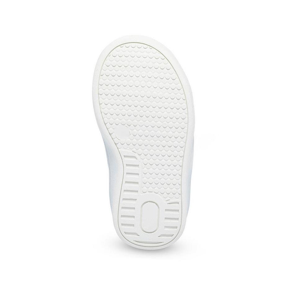 TOMMY HILFIGER  Sneakers, Low Top 