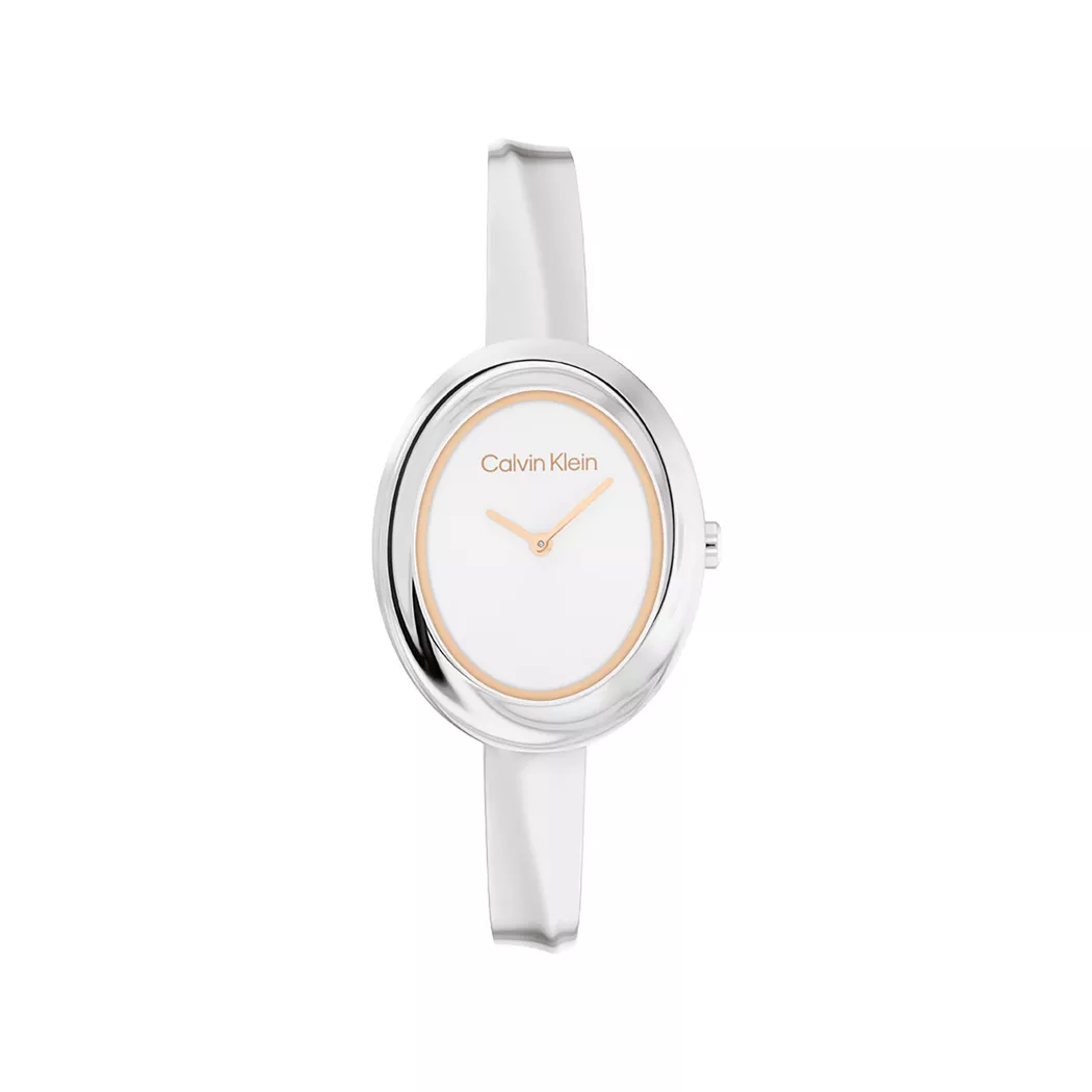 Calvin Klein 25100055 Women's Watch Silver 24mm