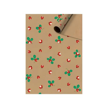 STEWO INTERNATIONAL Papier cadeau Adela 