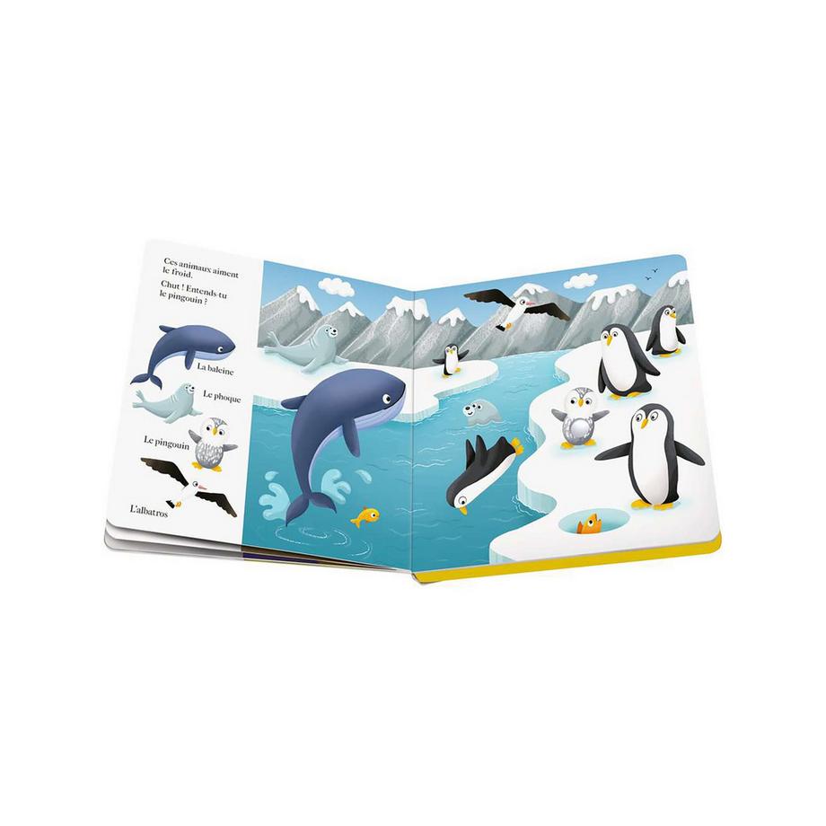 Ravensburger  Play+: Livre sonore bébé, francese 