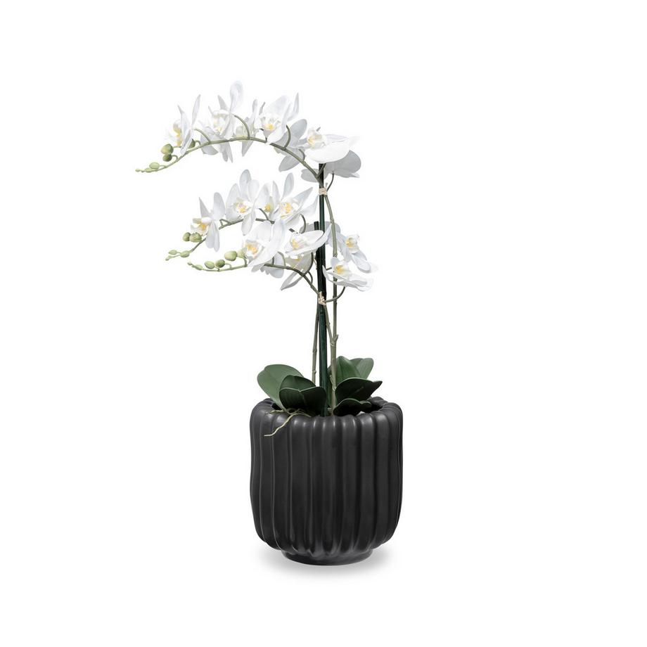 Manor Keramiktopf Lana 