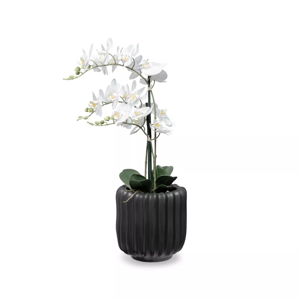 Manor - Keramiktopf, H24.5CM,Ø25CM, Schwarz matt
