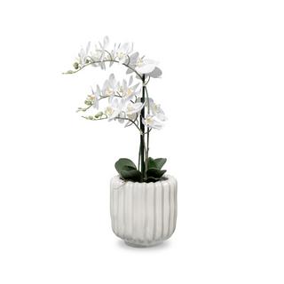 Manor Pot en céramique Lana 