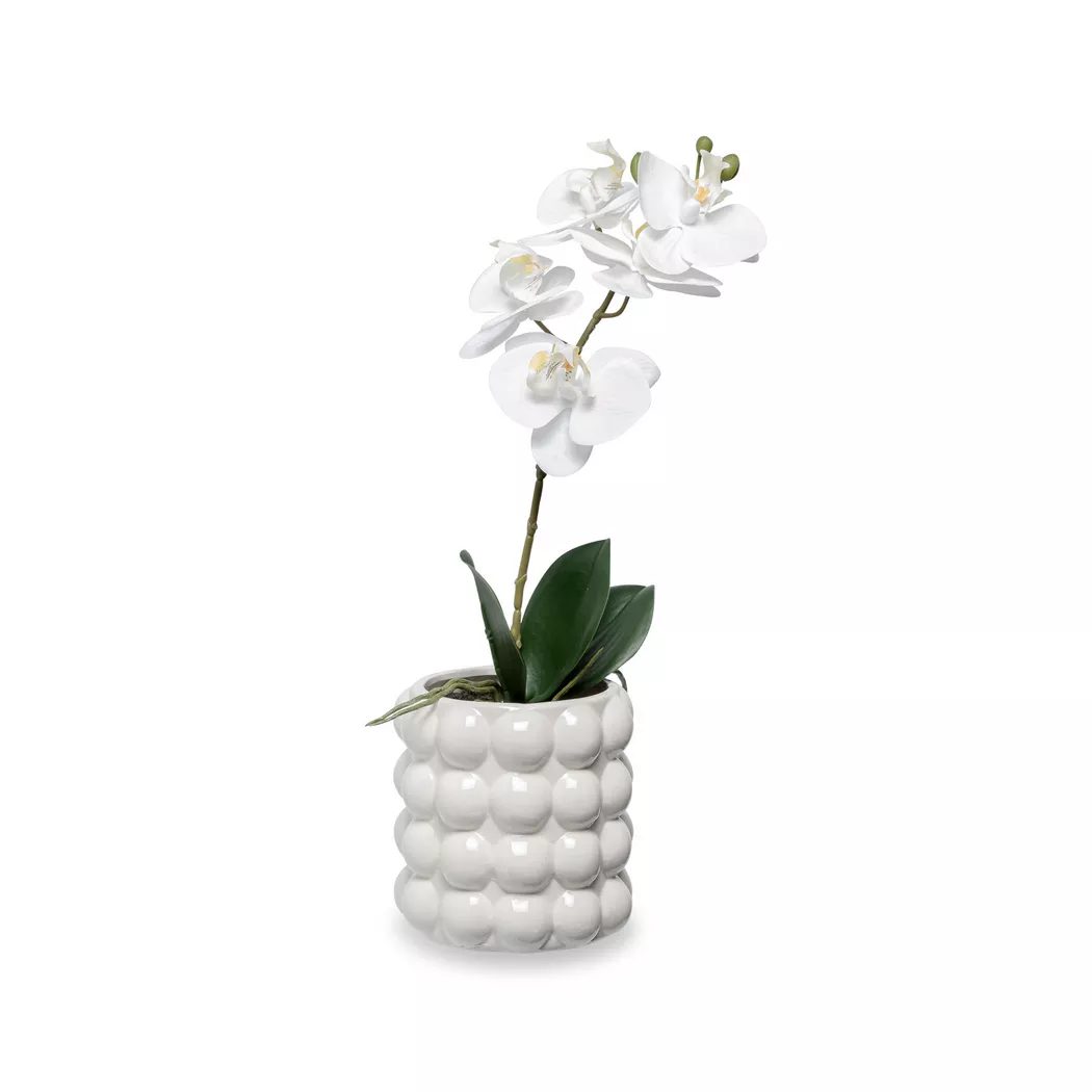 Manor Gloria Ceramic Plant Pot Light Gray