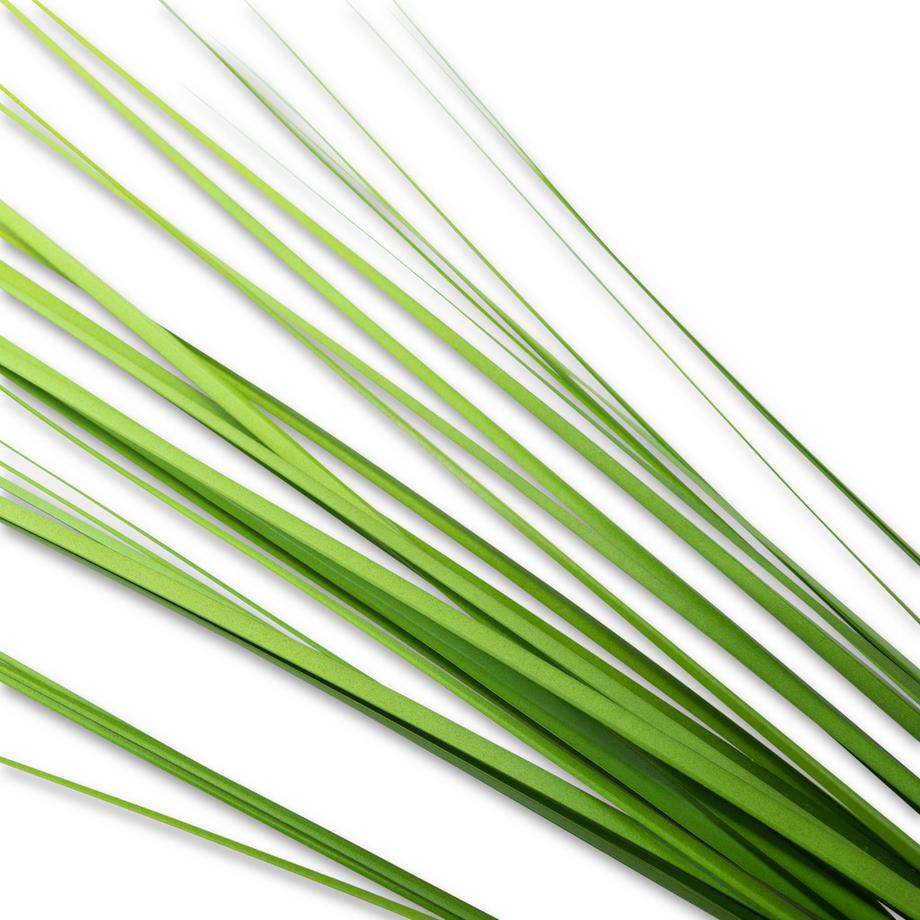 Manor Fleur artificielle Stripgras 