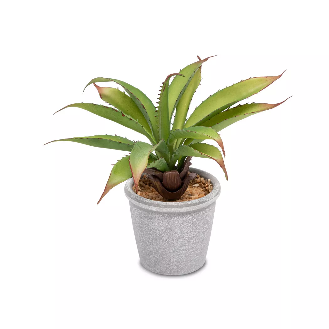 Manor - Künstliche Pflanze, 20cm, Grün