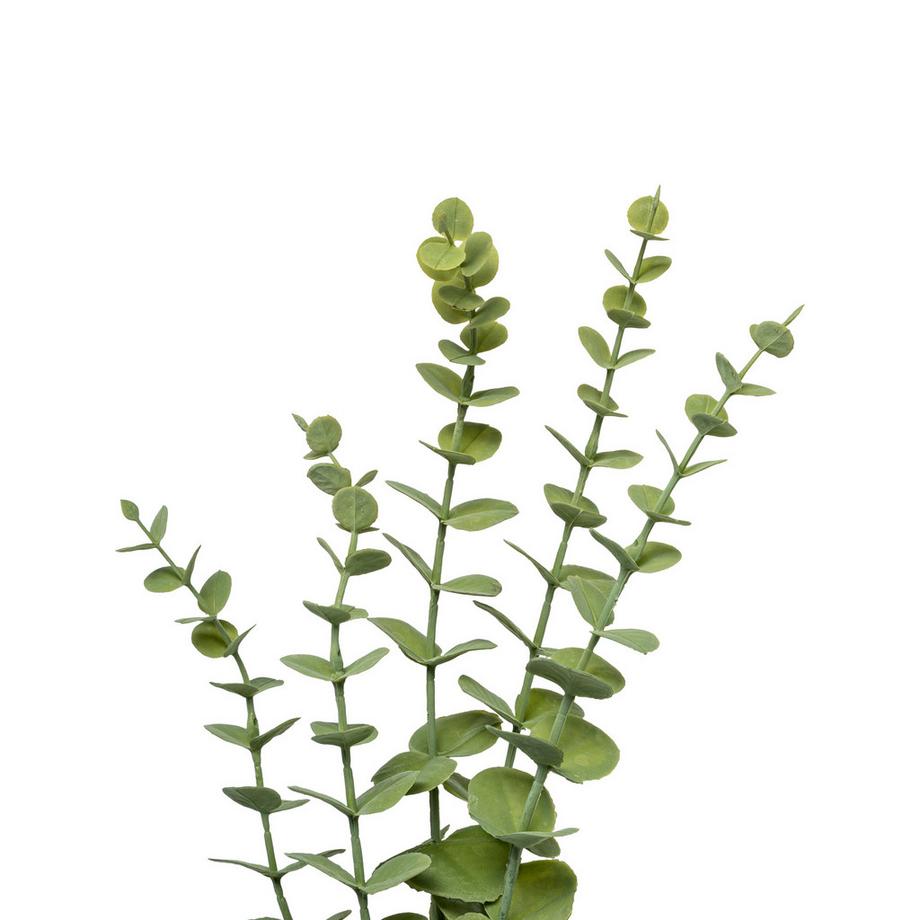 Manor Fleur artificielle Eukalyptus 