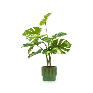 Manor Salma Vaso in ceramica  