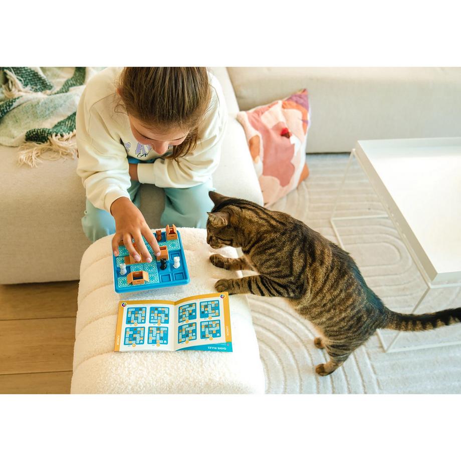 Smart Games  Cats & Boxes 