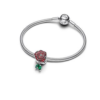 PANDORA Nature and Celestial Charm 