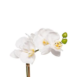 Manor Fleur artificielle Orchidee 