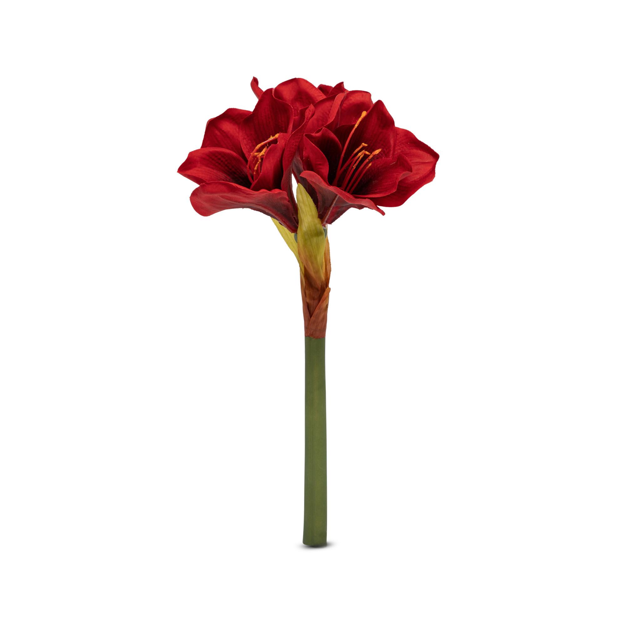 Manor Fleur artificielle Amaryllis 