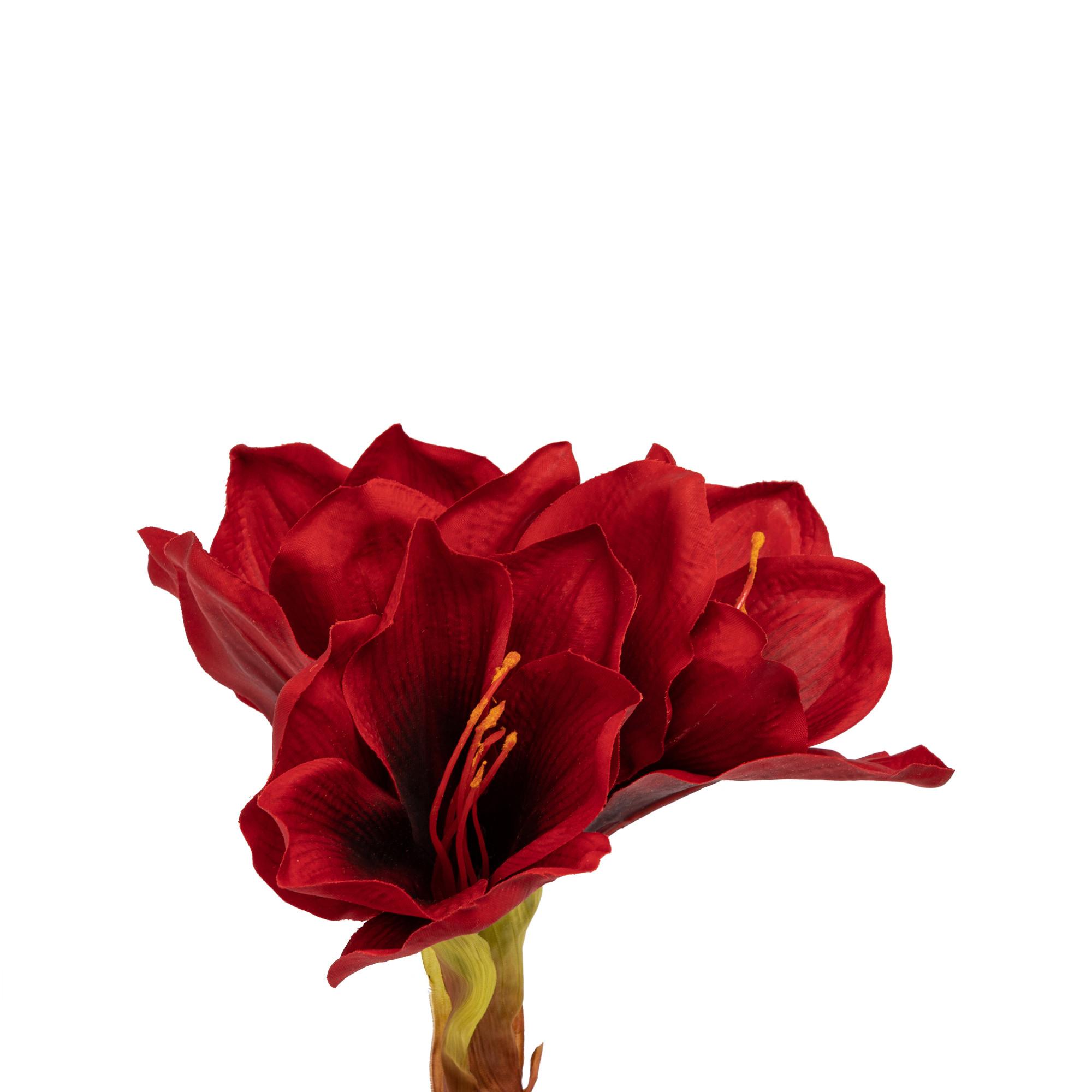 Manor Fleur artificielle Amaryllis 