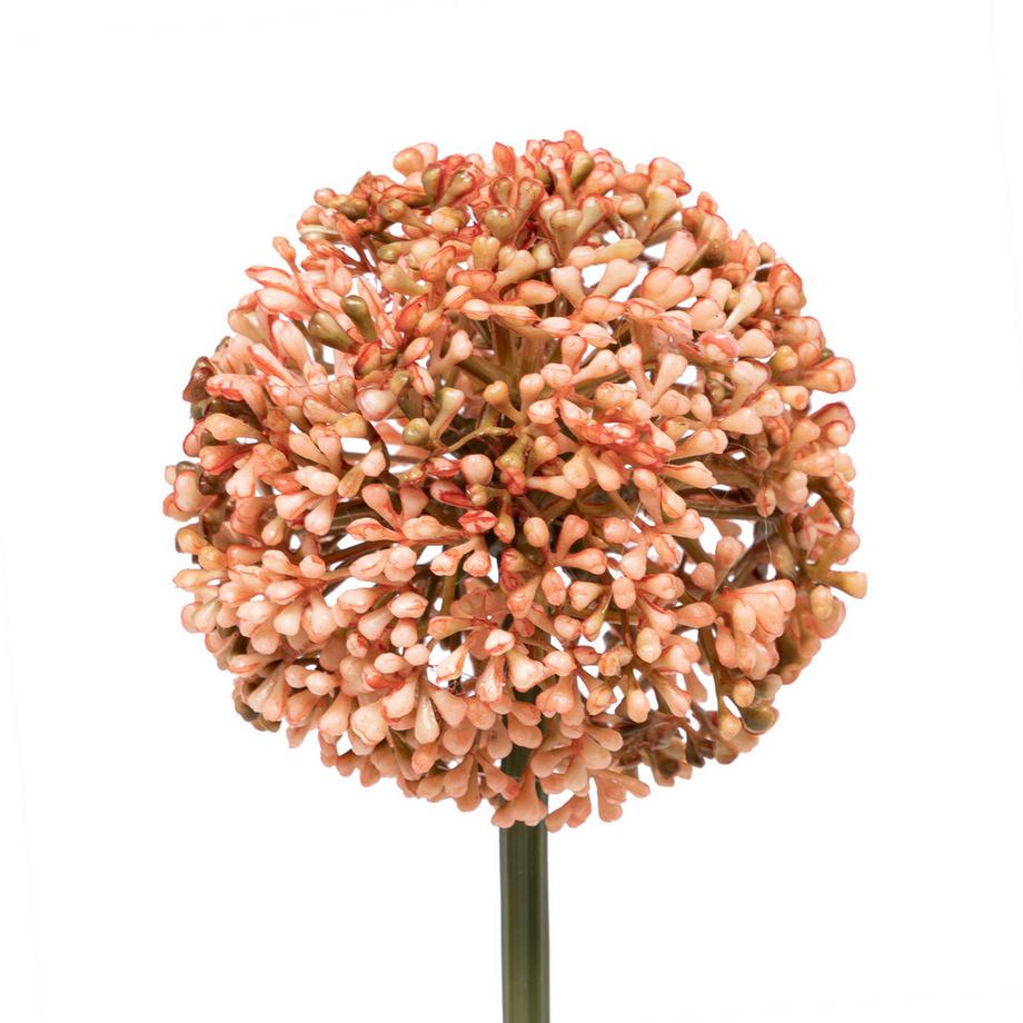 Manor Fleur artificielle Allium 