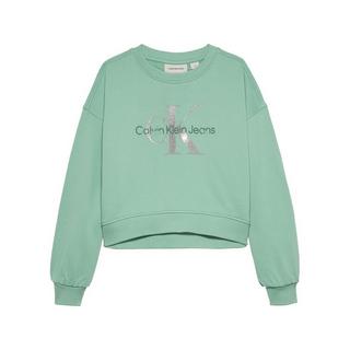 Calvin Klein  Sweatshirt 
