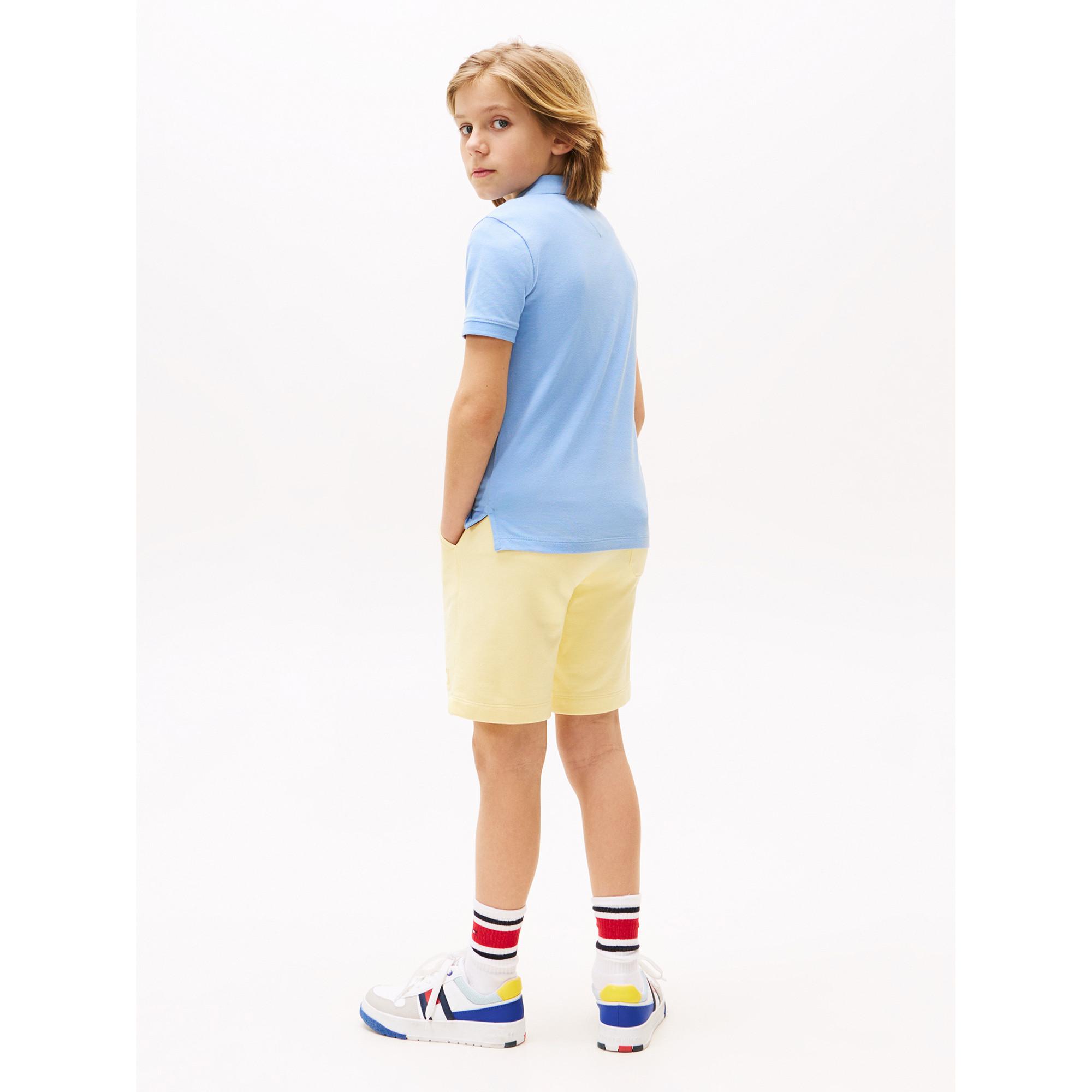 TOMMY HILFIGER FLAG POLO S/S Poloshirt, kurzarm 