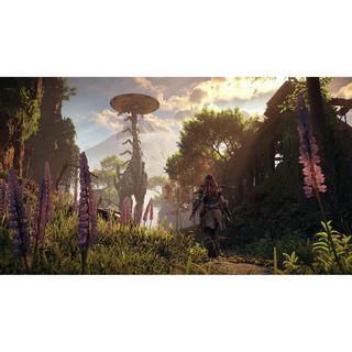 SONY COMPUTER ENTERTAINMENT Horizon Zero Dawn Remastered (PS5) 