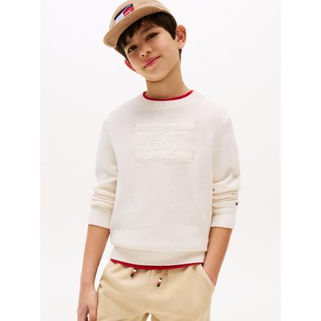 TOMMY HILFIGER  T-Shirt, langarm 