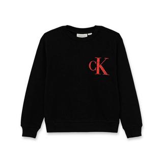 Calvin Klein  Pullover 
