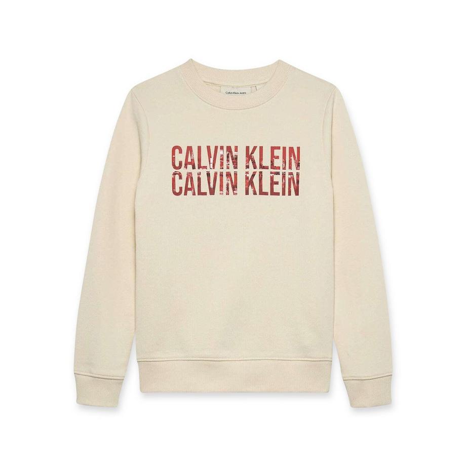 Calvin Klein  Pullover 