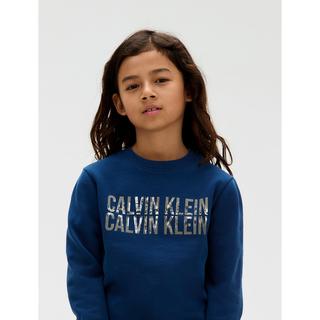 Calvin Klein  Pullover 