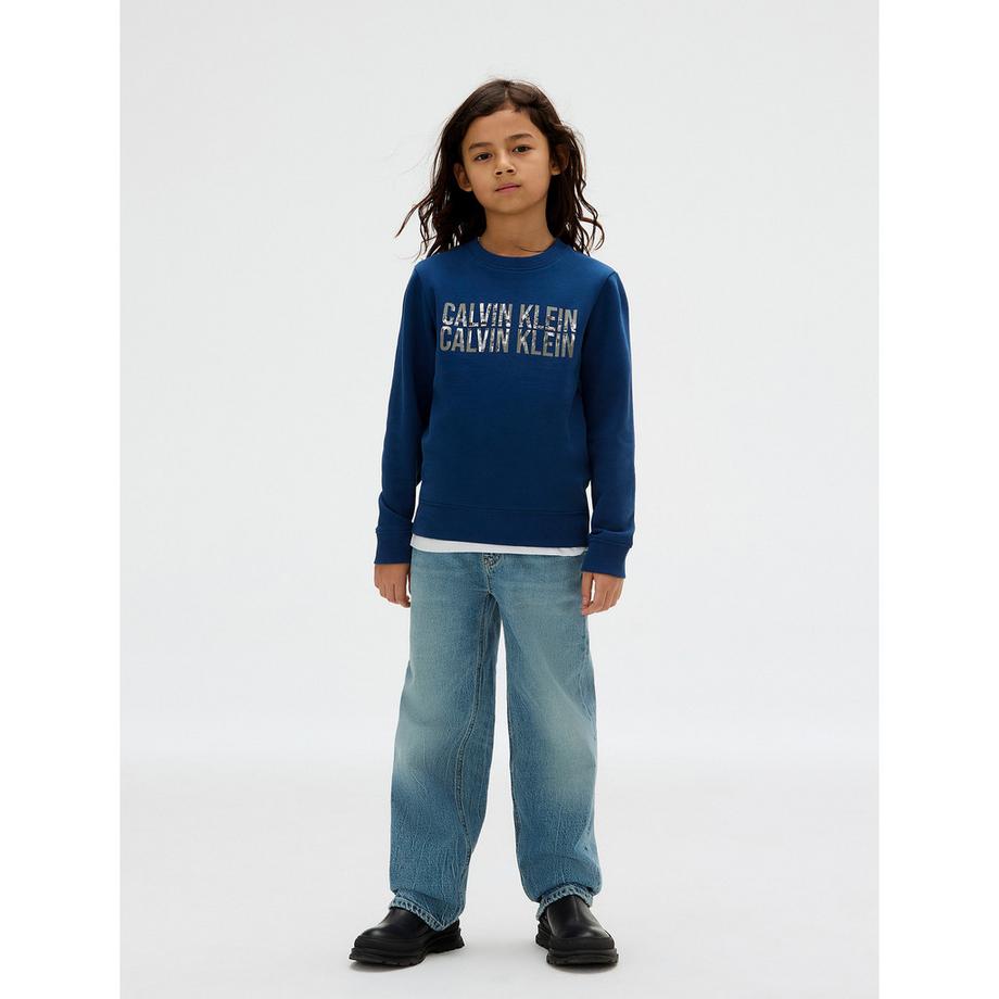 Calvin Klein  Pullover 