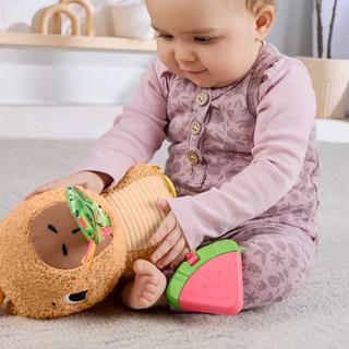 Fisher Price  Kuschel-Capybara 