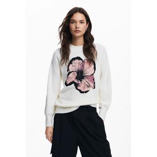 Desigual  Pullover 