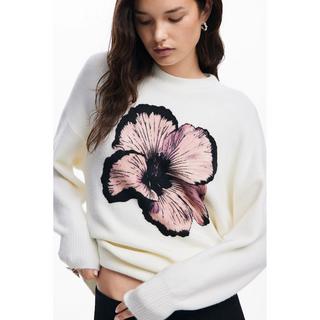 Desigual  Pullover 