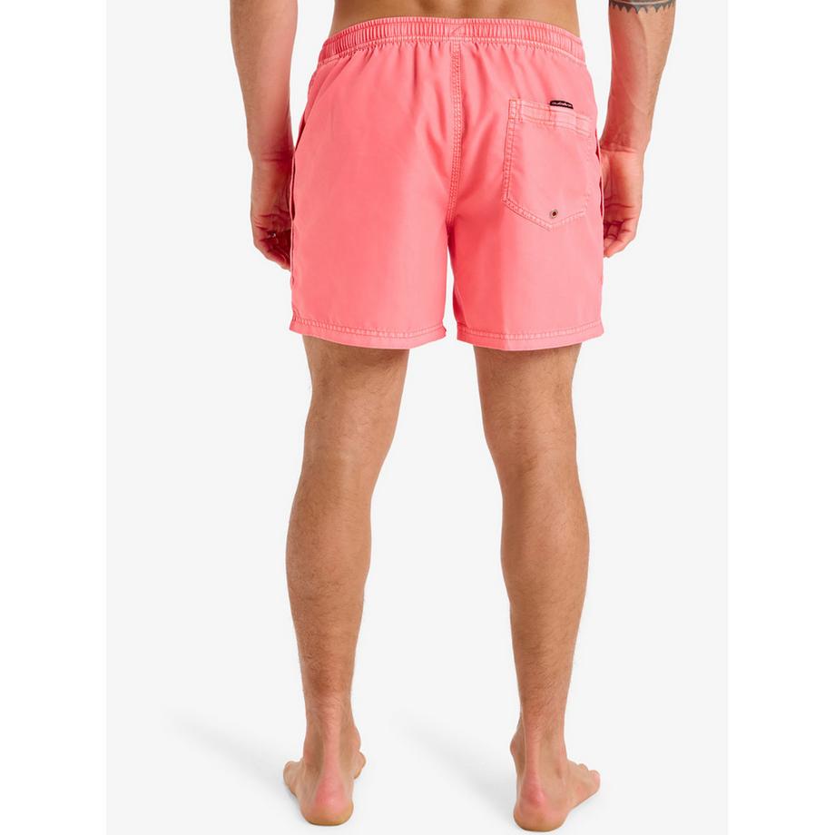 QUIKSILVER EVERYDAY SURFWASH VOLLEY 15 Badeshorts 