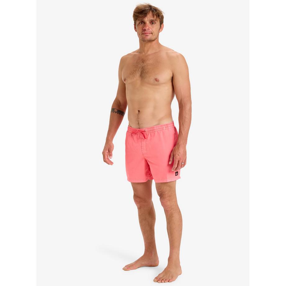 QUIKSILVER EVERYDAY SURFWASH VOLLEY 15 Badeshorts 