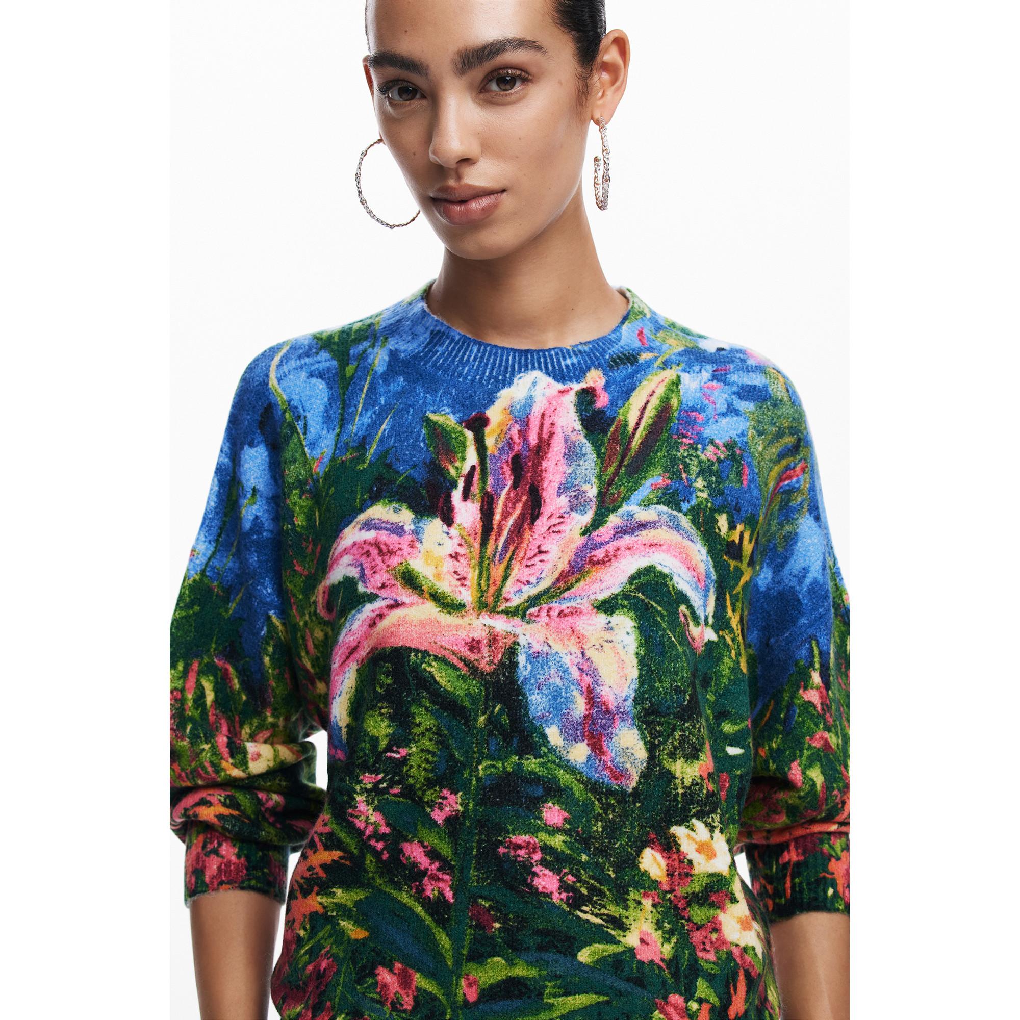 Desigual  Pullover 