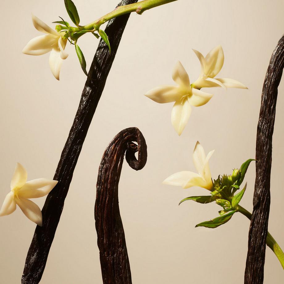 RITUALS Diffusore di aromi Suede Vanilla 