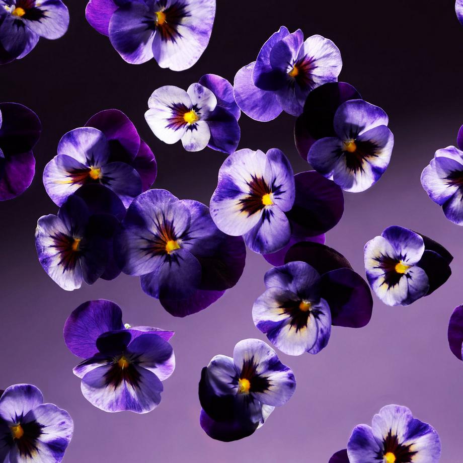 RITUALS Candela profumata in vetro Smooth Violet 