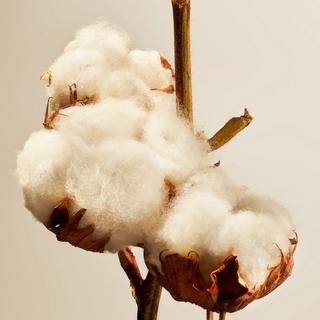 RITUALS Duftzerstäuber Cotton Blossom 