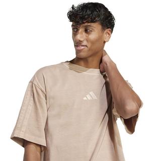 adidas M A SZN W T T-Shirt 