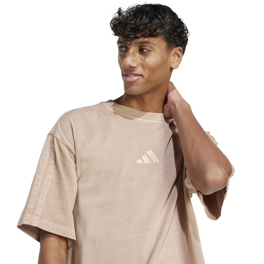 adidas M A SZN W T T-Shirt 