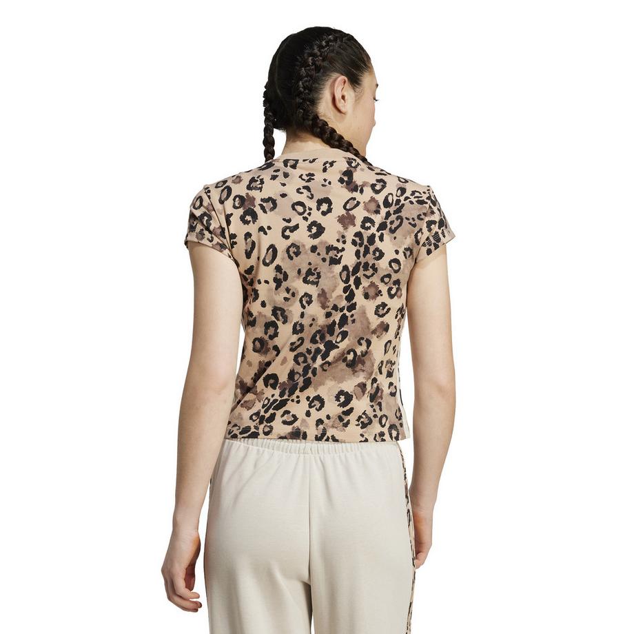 adidas W AOP TEE T-shirt 